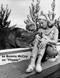 Cheryl Miller as Bonnie McCoy in Flipper and the Elephant