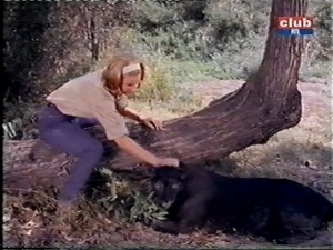 paula tracy comforts a panther on daktari played by cheryl miller